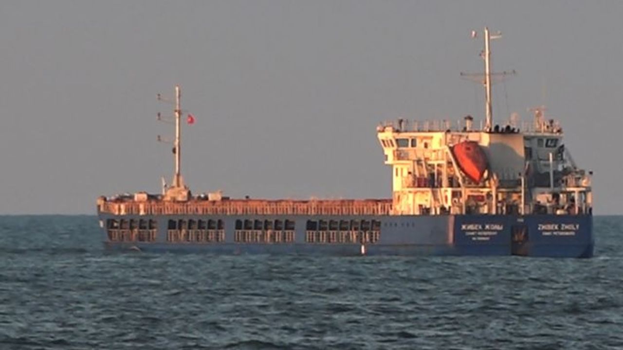 Ukrayna sahilinden hareket eden tahıl yüklü Rus gemisi Sakarya’da demir attı