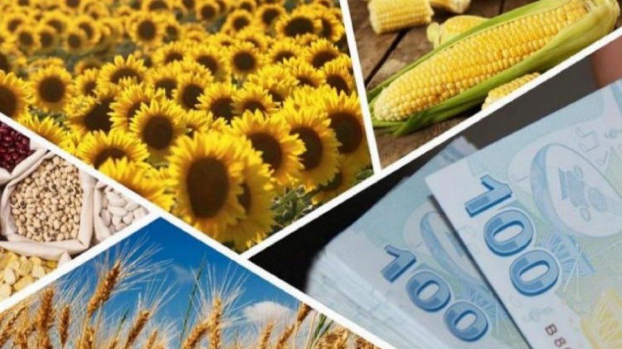 757 milyon lira tarımsal destek bugün hesaplarda