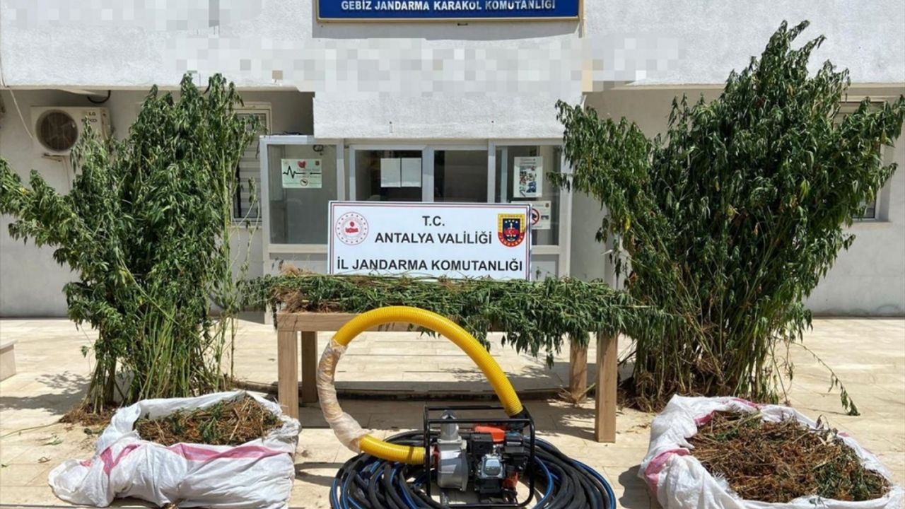 Antalya'da uyuşturucu operasyonunda 1 kişi gözaltına alındı