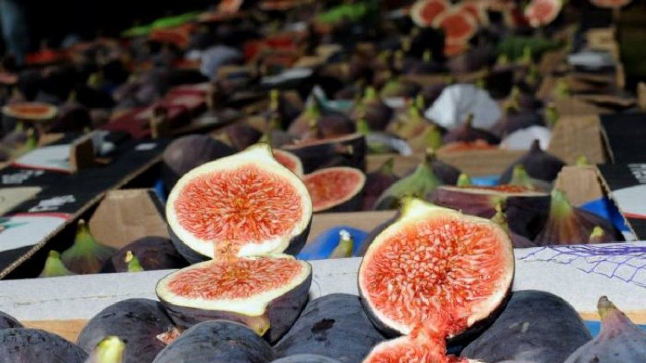 Bursa'da incir için ilk fiyatlar açıklandı