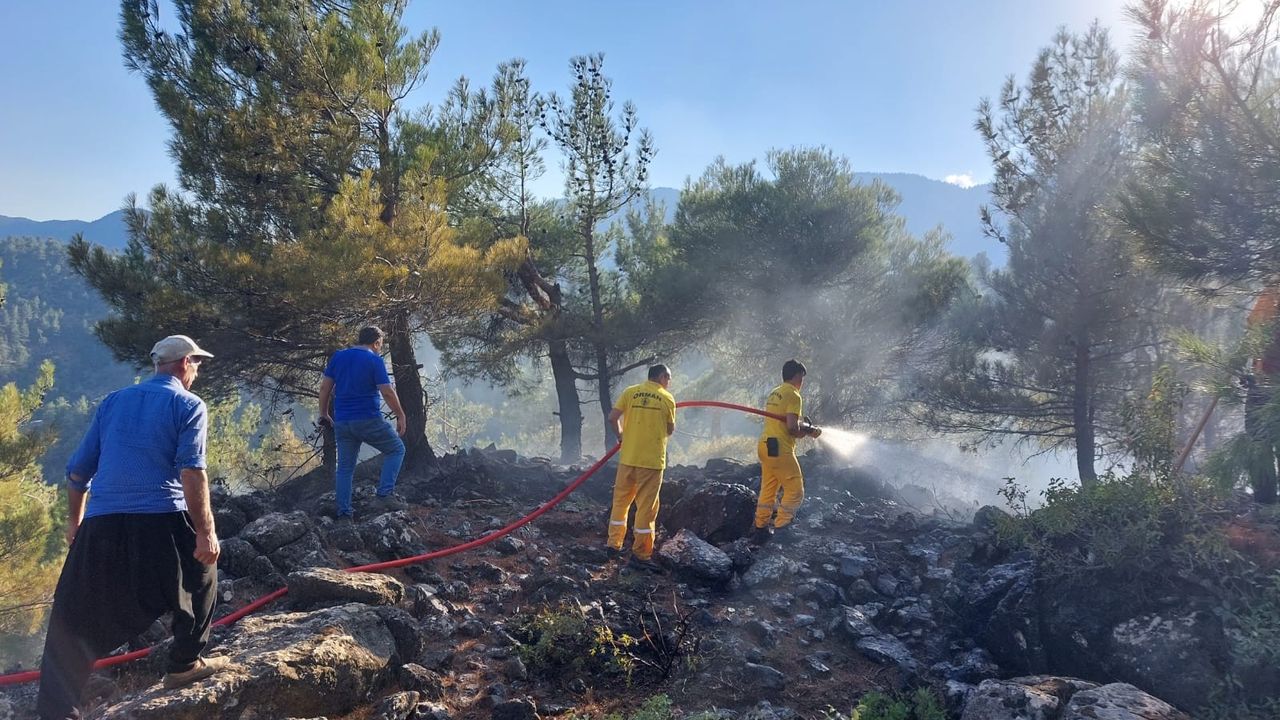 Kahramanmaraş'ta 6 noktada yangın çıkaran şüpheli yakalandı