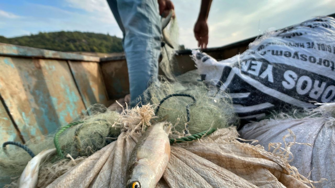 Baraj gölünde avlanan gümüş balığı, Avrupa ve Orta Doğu ülkelerine ihraç ediliyor