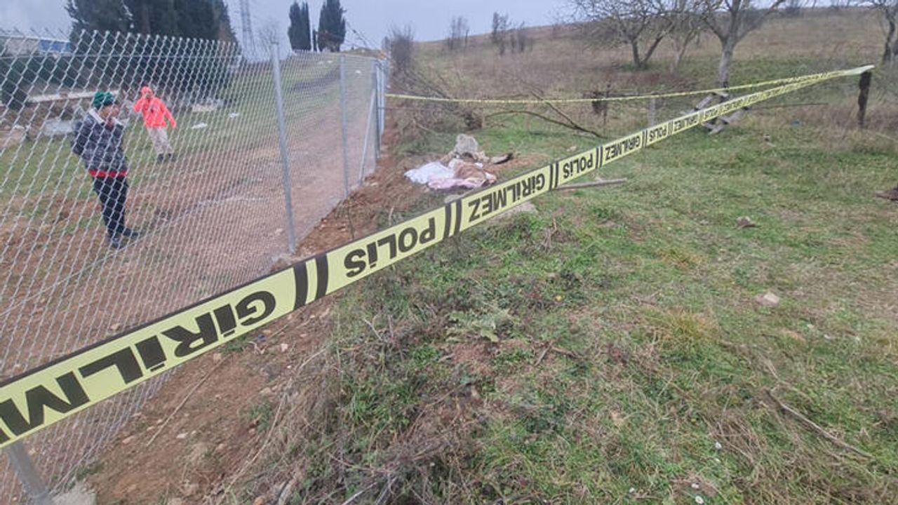 Mezarlıkta çarşafa sarılı köpek ölüsü bulundu