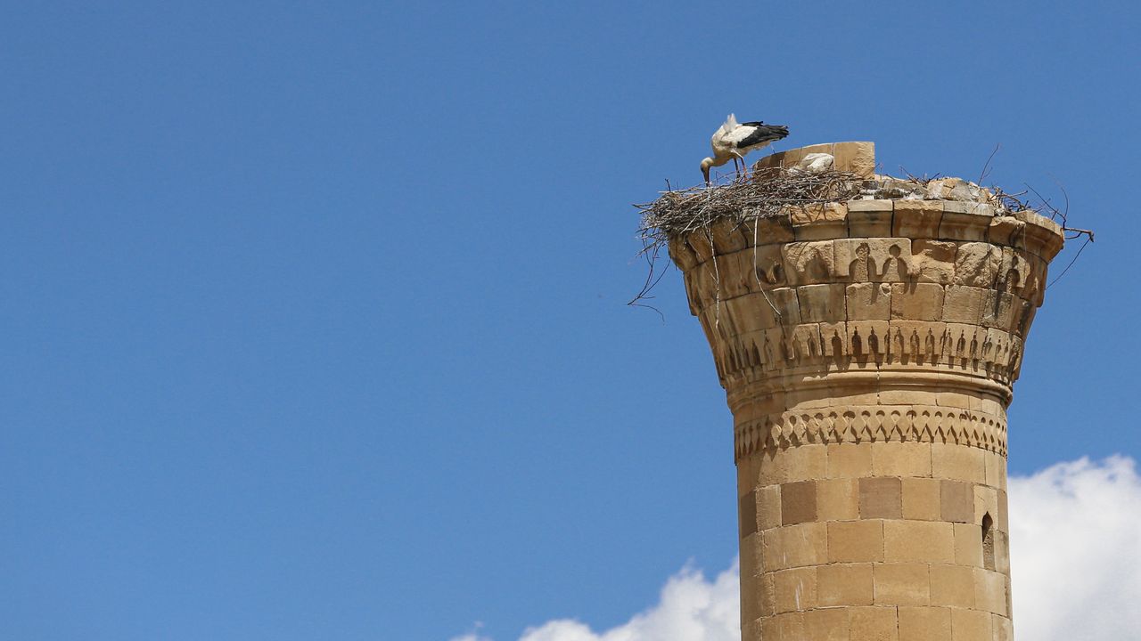 Depremde şerefesi yıkılan minare leyleklere yuva oldu