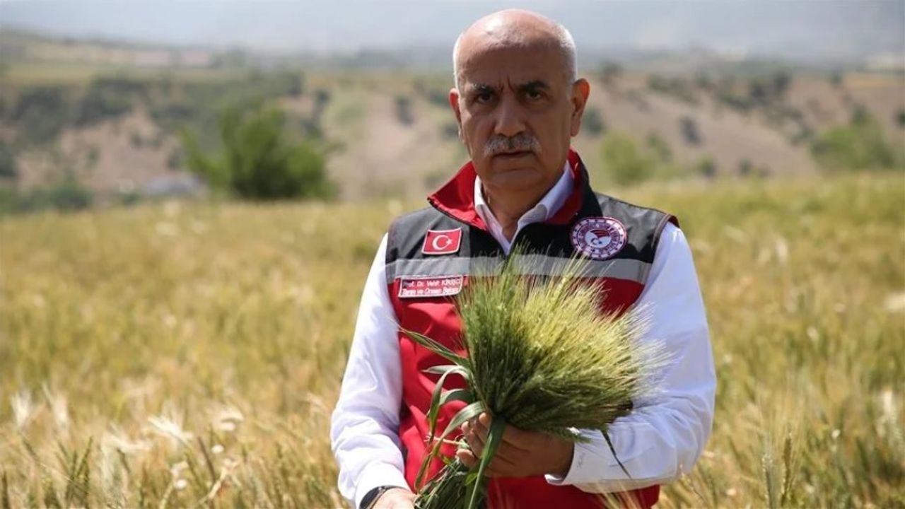 Bakan Kirişci: Buğday rekoltesi Türkiye'nin ihtiyacının karşılanması noktasında yeterli