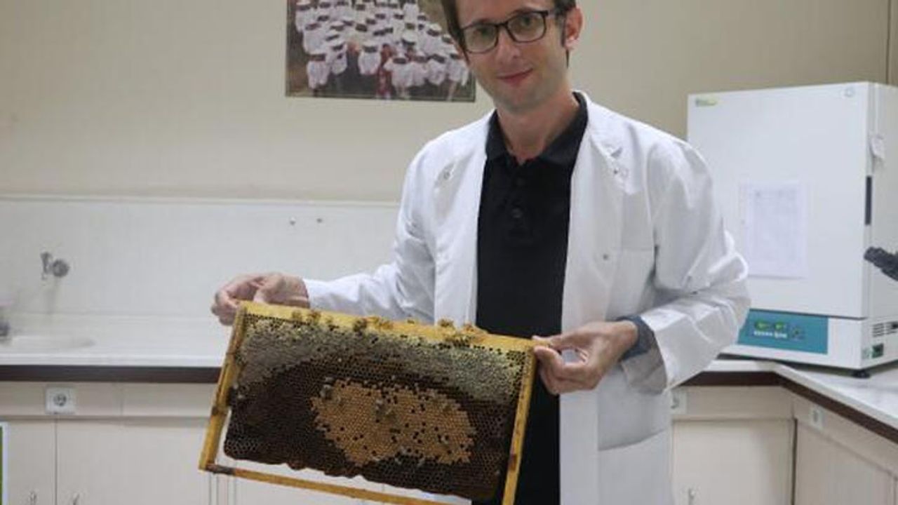 'İklim değişikliği kaynaklı arı ölümlerine karşı eylem planı hazırlanmalı'