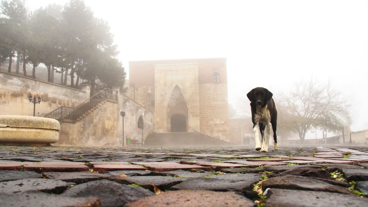 Kahramanmaraş'ta Ashab-ı Kehf yoğun sis içinde kaldı