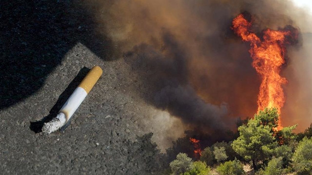 Sigaranın üretimi ağaçları yok ederken izmariti de orman yangınlarını tetikliyor