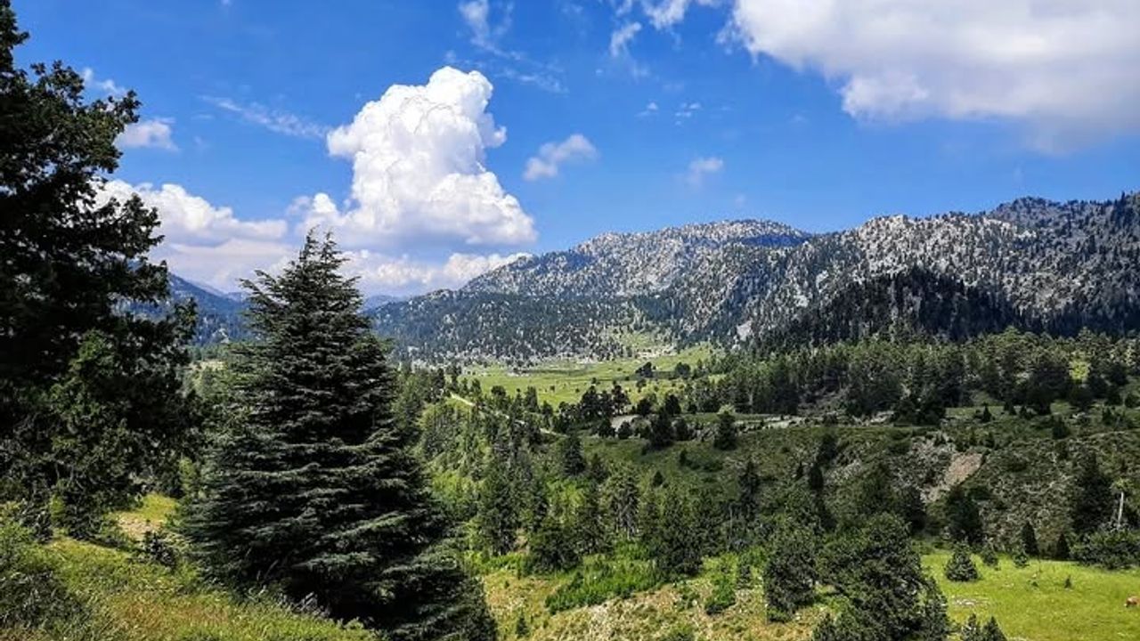 Kahramanmaraş’ın En Güzel Ormanı