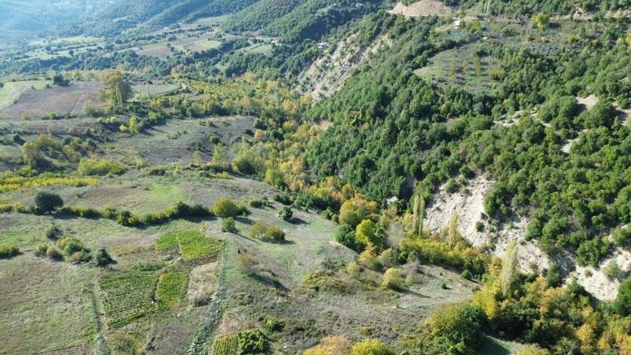 Kahramanmaraş’ta Ormanlar Renk Cümbüşüne Büründü
