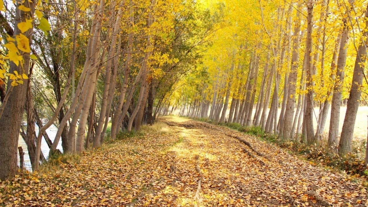 Kahramanmaraş’ta Sonbaharın En Göz Alıcı Noktası