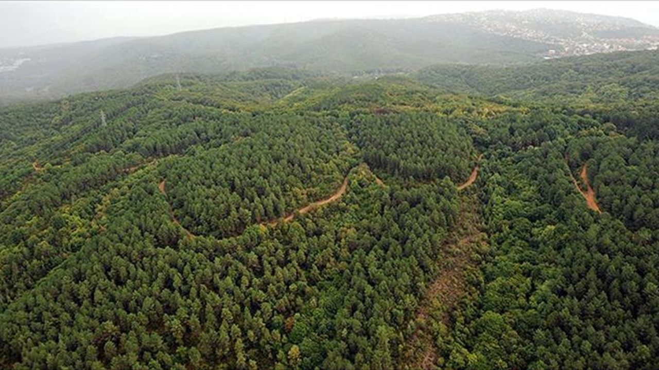Kahramanmaraş Ormanları Dijital Gözlerle Koruma Altında