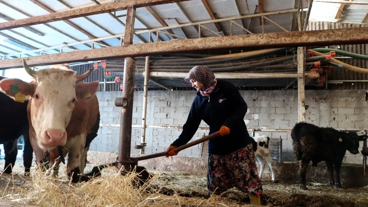Kahramanmaraşlı gençler için çiftlik kurulacak, 84 bin TL maaş ödenecek
