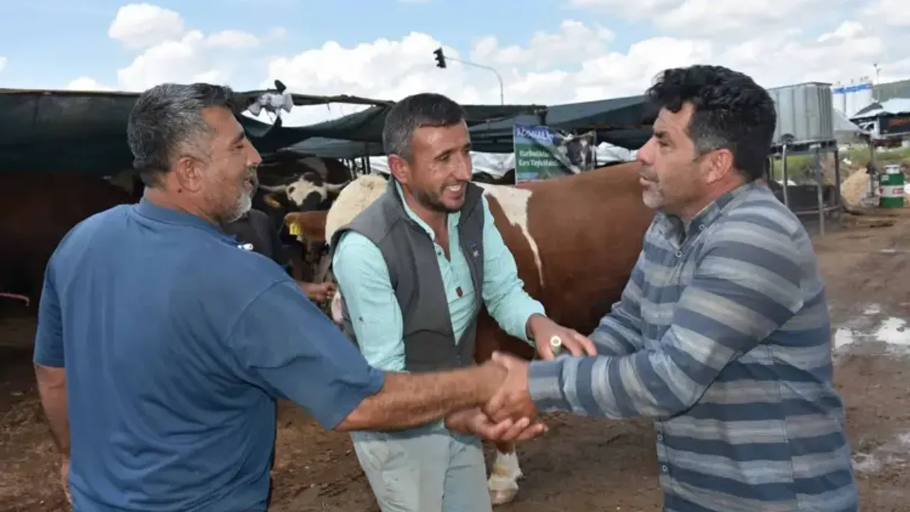 Kurban pazarının en büyüğü 'Haso Ağa', 480 bin TL'den satıldı