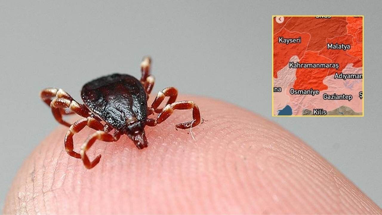 Yaz Geldi, Kene Tehlikesi Büyüdü: Kahramanmaraş Risk Haritas