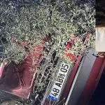 Takla atıp, ağaca çarpan otomobildeki 2 kişi öldü