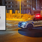 Ahır Dağı'nda silahlı genç aranıyor, polis bölgeyi ablukaya aldı