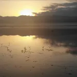 Kahramanmaraş’taki Gavur Gölü Nasıl Sağlık Ovası’na Dönüştü?