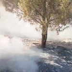 Kurtlar TOKİ’de Trafo Patlaması Orman Yangınına Neden Oldu