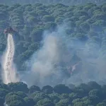 Kahramanmaraş’ta Yangın Riski Artarsa Ormanlara Giriş Yasaklanabilecek