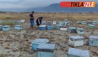 Kahramanmaraş'ta 45 arı kovanı sele kapıldı