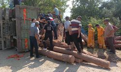 Kahramanmaraş’ta tomruk yüklü kamyon devrildi: 1 ölü, 2 yaralı