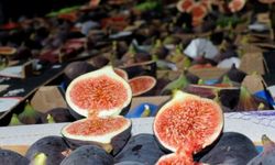 Bursa'da incir için ilk fiyatlar açıklandı
