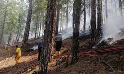 Kahramanmaraş'ta çıkan orman yangını kontrol altına alındı