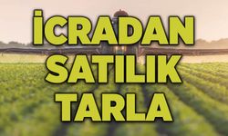 Kayseri’de sulu tarla icradan satılık