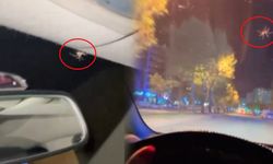 Sürücünün Otomobildeki Örümcek İle İmtihanı
