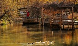 Kahramanmaraş’ta sonbahar renkleri