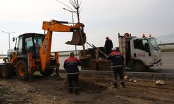 Büyükşehir 10 Bin Ağacı Toprakla Buluşturdu