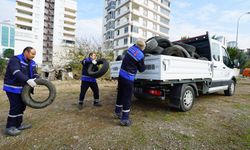 Büyükşehir, Vektörlerle Mücadele İçin Sahada