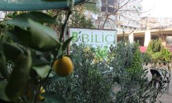 KAHRAMANMARAŞ’IN PARLAYAN YILDIZI: BİLİCİ FİDANCILIK