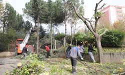 DULKADİROĞLU’NDA PARK VE BAHÇELER KIŞA HAZIRLANIYOR