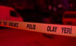 Arazi anlaşmazlığı tartışmasında ağabeyini bıçaklayarak öldürdü