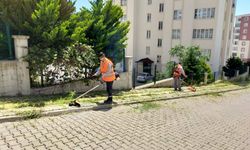 Onikişubat’ta yabani otlar temizleniyor, sokaklar estetik bir görünüme kavuşuyor