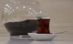 Türkiye'den çay ihracatı yüzde 52 arttı