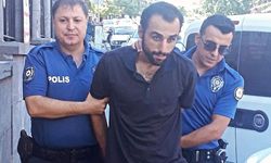Annesi ve kardeşini dövüp, evdeki 4 kediyi öldürdü