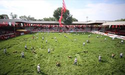 662. Tarihi Kırkpınar Yağlı Güreşleri başladı