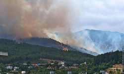 Hatay'da orman yangını