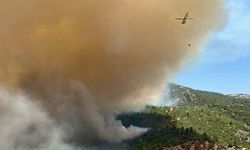 Çanakkale'deki orman yangınında 3'üncü gün