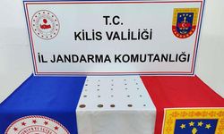 Jandarmanın düzenlediği operasyonda 25 sikke ele geçirildi