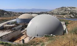 Elektrik üretilen hayvansal atıktan gübre elde ediliyor