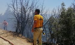 Kahramanmaraş’taki yangına müdahale ediliyor