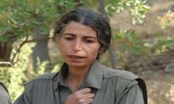 PKK/YPG'nin para trafiğini yöneten Zülfiye Binbir'i etkisiz hale getirildi
