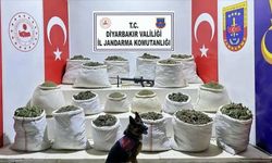 7 ildeki uyuşturucu operasyonlarında 72 kişi yakalandı