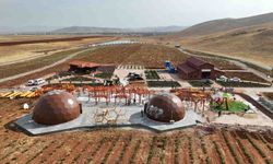 Afşin'de lavanta tarlasında kurulan "arı dünyası" açıldı