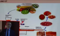 Gelecekte beslenmede yapay ve yalancı et, bitki bazlı sütler kullanılacak