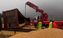 Otoyolda TIR devrildi; tonlarca tahıl yola döküldü